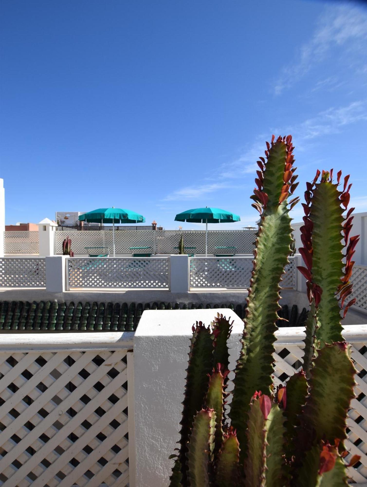 Miostello Lifestyle Riad Marrakech Marakeş Dış mekan fotoğraf