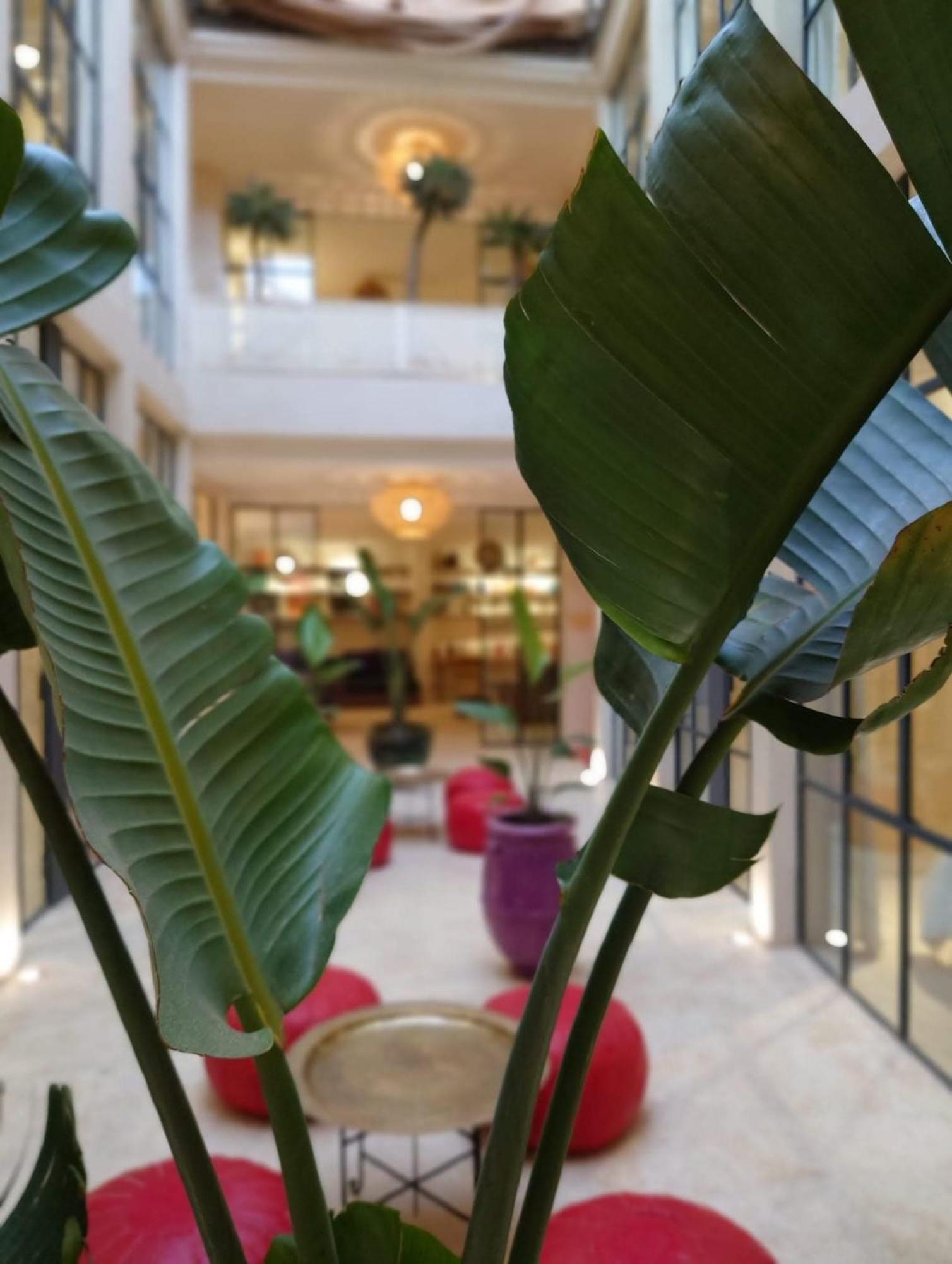 Miostello Lifestyle Riad Marrakech Marakeş Dış mekan fotoğraf